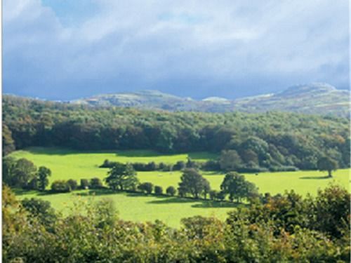 The Druid Inn Llanferres Dış mekan fotoğraf